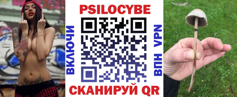кракен ССЫЛКА  Ивангород  Галлюциногенные грибы Psilocybine cubensis 
